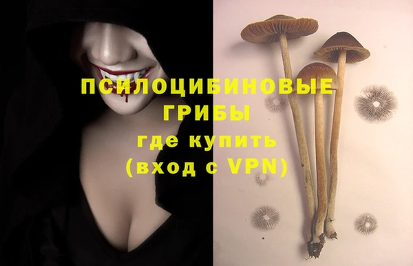 мяу мяу мука Баксан