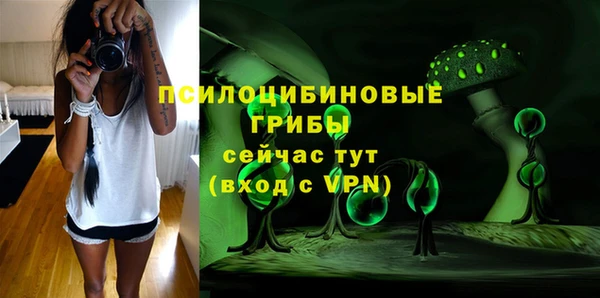 ГАЛЛЮЦИНОГЕННЫЕ ГРИБЫ Балабаново