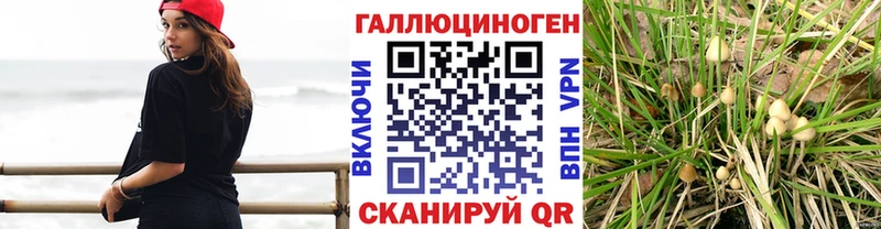 что такое   KRAKEN как зайти  Галлюциногенные грибы мицелий  Семёнов 